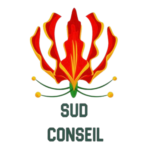 Sud Conseil